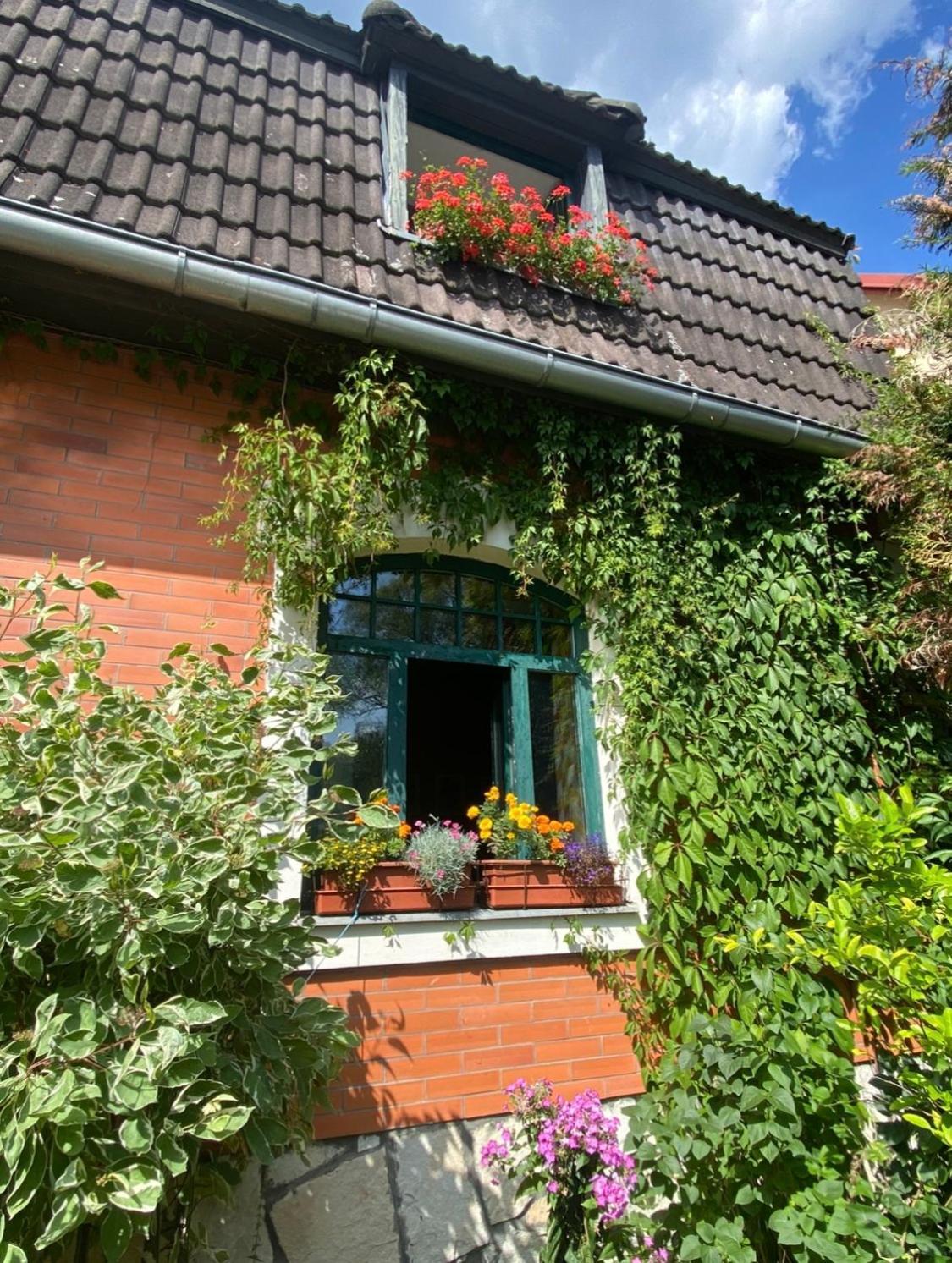 Apartman Dum U Kouli Prameny Exterior photo